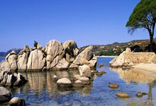 中国男足对阵新西兰男足的直播哪里看？比赛有哪些看点？